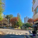 호평송라태권도장 이미지