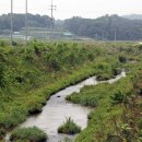 율곡천 2 이미지