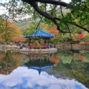 만성수변공원 이미지