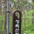청록장 Daum카페