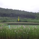 청솔농산물