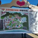 애견코리아 | 태안 안면도 애견동반 가능한 코리아플라워파크 가을 꽃축제 여행 후기