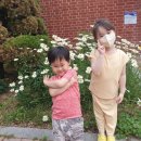 소화데레사유치원 이미지