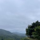 로드파크가로공원 이미지