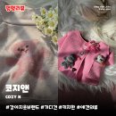 pet38라0821 | 강아지옷브랜드 코지앤 COZYN | 토이 가디건, 베어 하이넥 탑 내돈내산후기