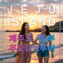 제주여행 우도 버스투어,공항에서 출발,뚜벅이 효도 관광,사려니숲,휴애리