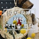 라탄;자연을엮다 이미지