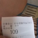 시흥청소년수련관 | 25/06/21 시흥시청소년수련관수영장 수상인명구조요원 소규모 강습 후기