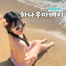 베이(BAY)7 | 오아후섬 하나우마베이(Hanuma Bay) 예약 입장료 준비물 복장 샤워 음식준비 w.조인하와이