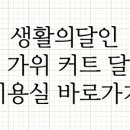 생활의달인 전설의 미용사 숱가위 커트 달인