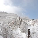 하얀나라 이미지