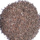 들깨효능 들깨 복용방법 이미지