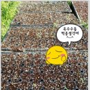 서누네농장 이미지