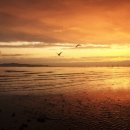 알라딘펜션 이미지