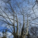 죽도봉주차장 이미지