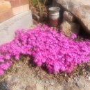 선남농장 이미지