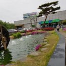 화성농협비봉지점 이미지