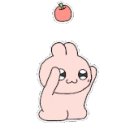 강릉초이 이미지