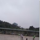 오목초교 이미지