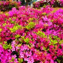 성모공원 이미지