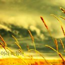 불어라바람아-한승기 이미지