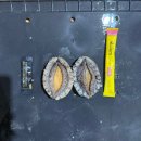 2시이전주문건 목요일발송 금요일도착! 진도 활전복 할인 대전복 27,000원! 당일 발송, 산소포장 지금 주문하세요 이미지