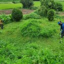 언덕위에 펜션 이미지