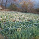 두평농장 이미지