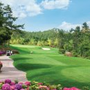 파인비치 이미지