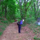 아라메길 (해미국제성지순례길) 이미지