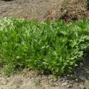 동녘농장 이미지