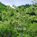 단곡화장실2 이미지