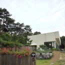 현덕로 | 평택 브런치카페 아기와 방문하기도 좋은 평택호 근처 시숲