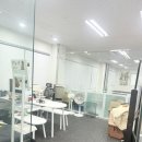 대견하개 이미지