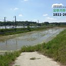 도안더리브오뚜기공인중개사사무소 이미지