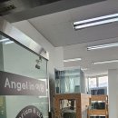 엔젤인어항 | 아산 온양온천 엔젤인어항 후기.어항 속 다양한 물고기와 햄스터가 있는 이색 카페