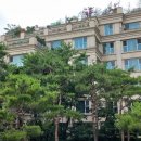 정동길 행정사사무소 네이버블로그