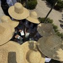 태형농장 | [지구를지키는농부서포터즈4기]2025유기농데이 발대식 참여 후기