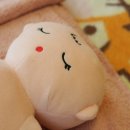 플랜휴