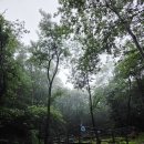 성북동숲속야영장 우중캠핑 [ 2026년no,04 ] 이미지