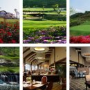 렉스사우나 이미지