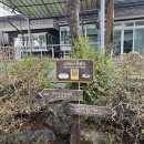 다덕약수관광지 이미지