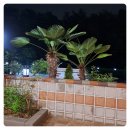 연정풀펜션 이미지