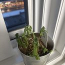 해피홀릭 콘서트 | 평생 눈 막고 귀 감으면서 살기