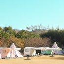 사계절야채청과 | 경주 글램핑 선셋드몽 밤부사운드캠핑장 솔직후기