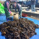 청정해역 이미지