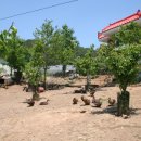 한가족농장 이미지