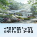 부엉이PC | 수락휴 현지인만 아는 &#39;명당&#39; 트리하우스 공개! 예약 꿀팁