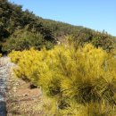 황금농장2 이미지