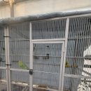 힐링(카페) 코스 이미지